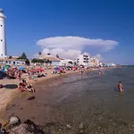 Pomelia