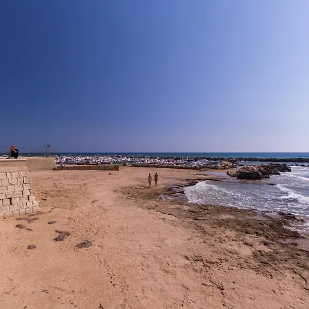 Pomelia Punta Secca